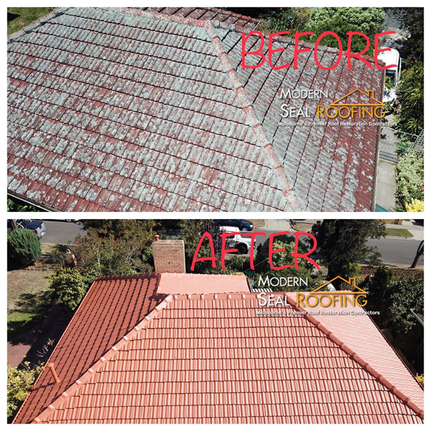 roof-painting-services-before-after