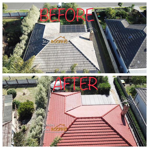 professional-roof-painting.jpg